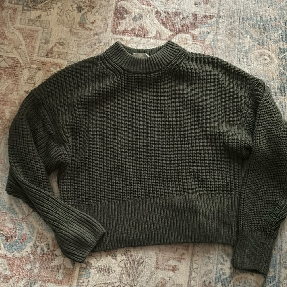 Everlane Cropped Dark Green Crew Sweater